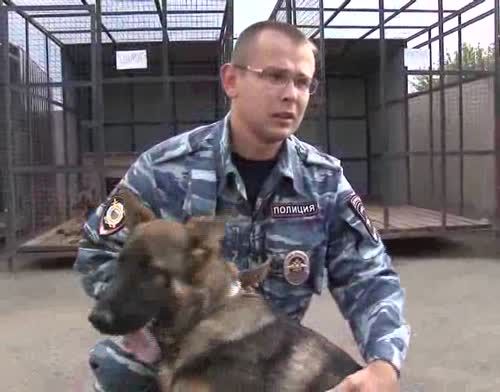В Альметьевске несут службу четвероногие помощники полицейских