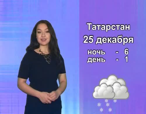В Альметьевск возвращается снежная прохладная погода