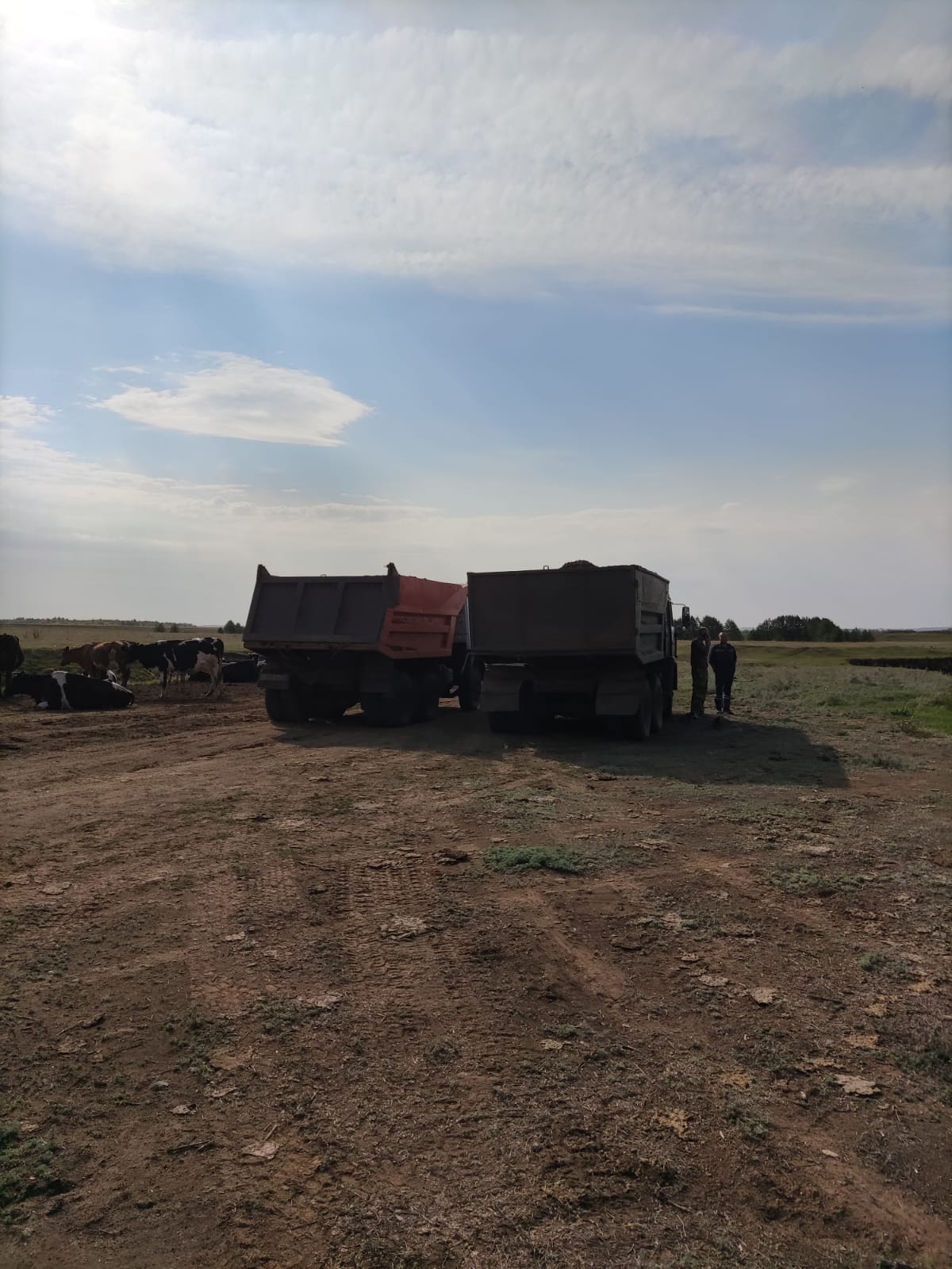 Экологи обнаружили на юго-востоке Татарстана незаконную добычу песка