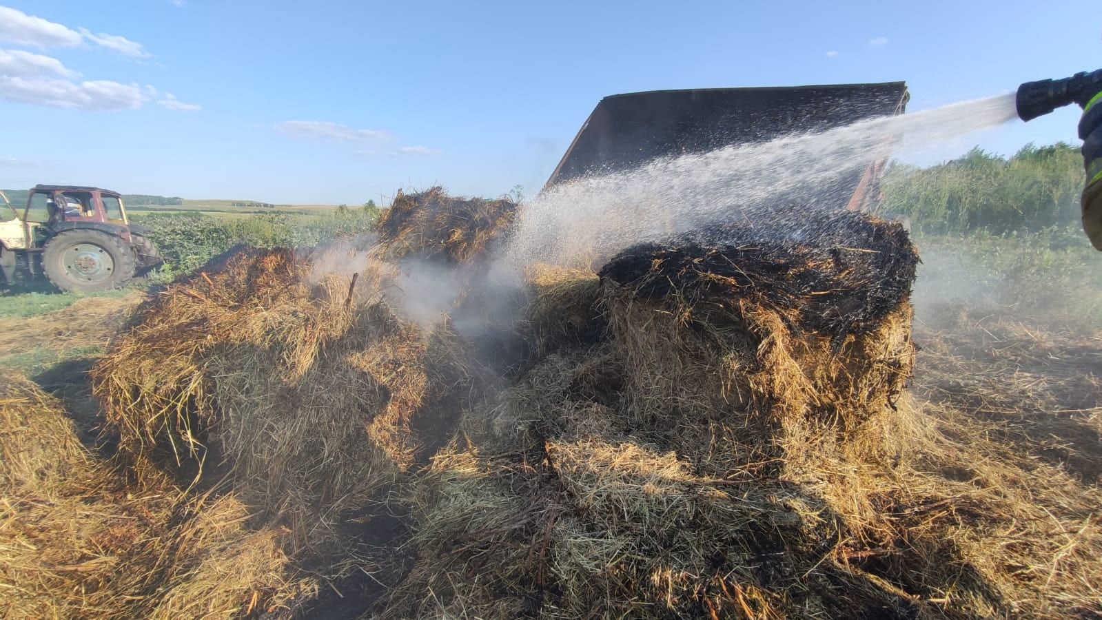 В Альметьевском районе сгорело сено на площади 15 квадратных метров