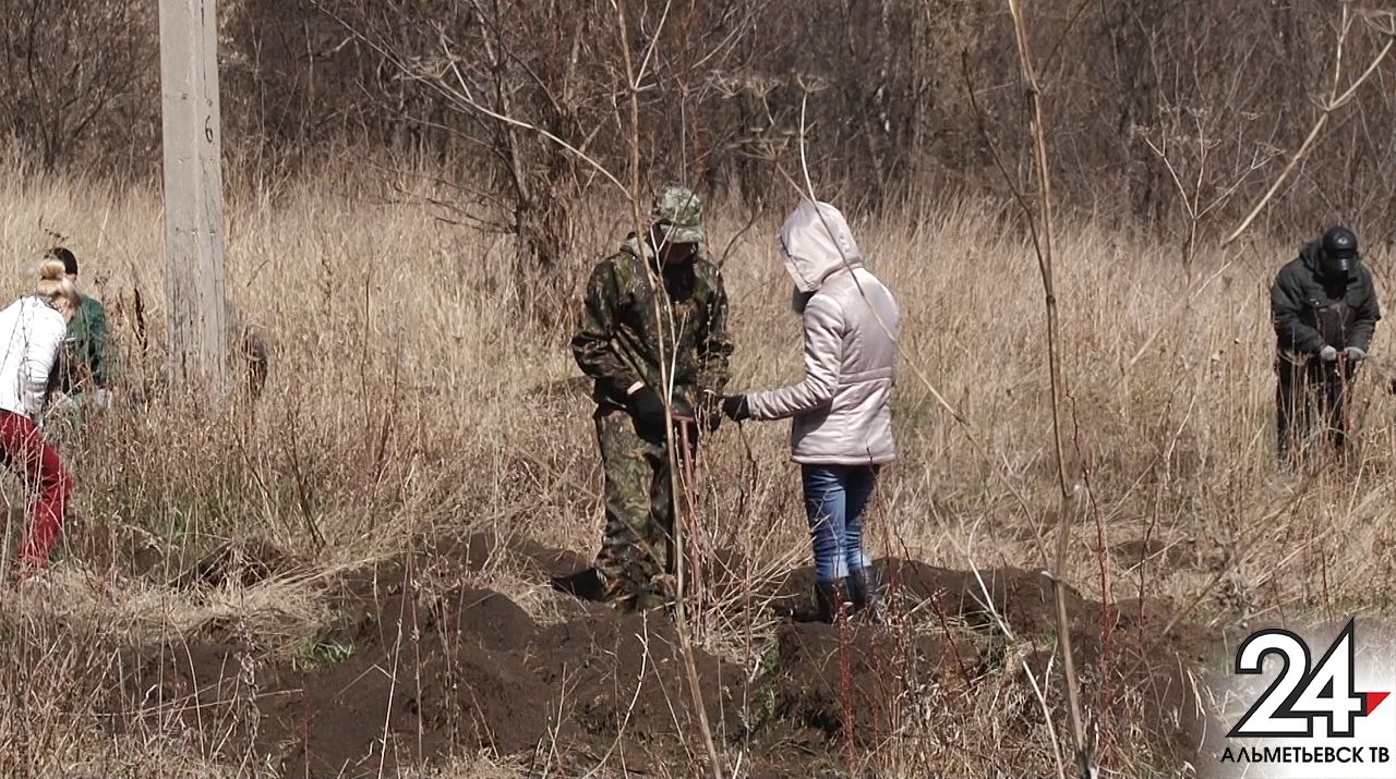 Альметьевск присоединился к всероссийской акции «День посадки леса»
