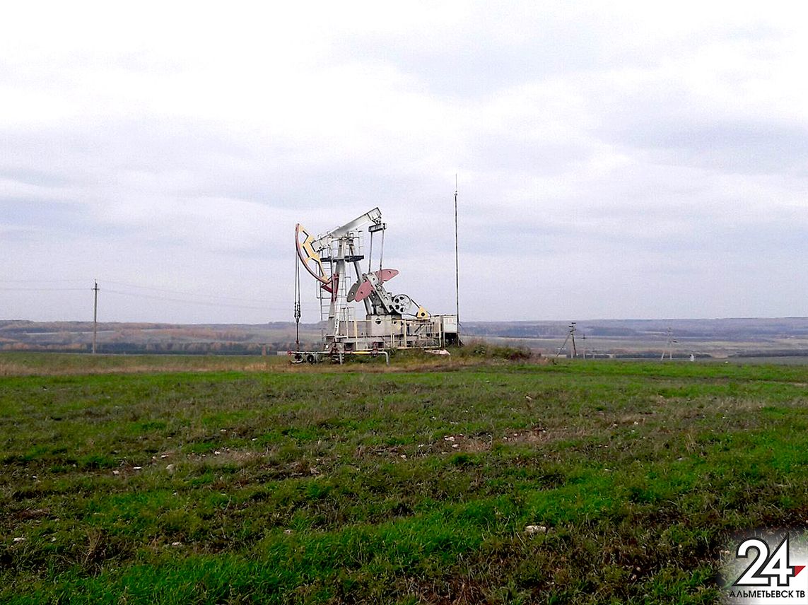 В Татарстане балансир нефтекачалки насмерть придавил слесаря