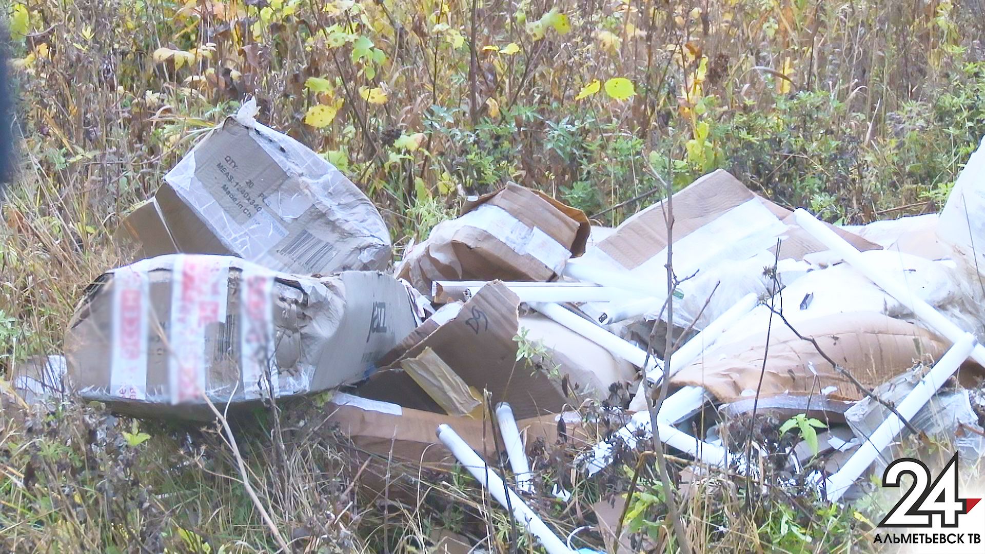 Грибники обнаружили свалку опасных отходов в Альметьевском районе