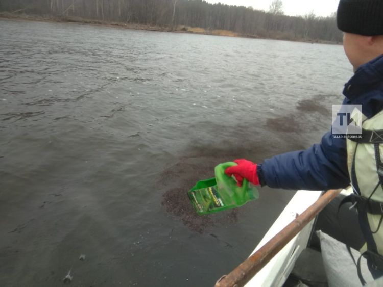 На Каме в Татарстане спасатели ликвидировали нефтяное пятно с помощью гречишной шелухи