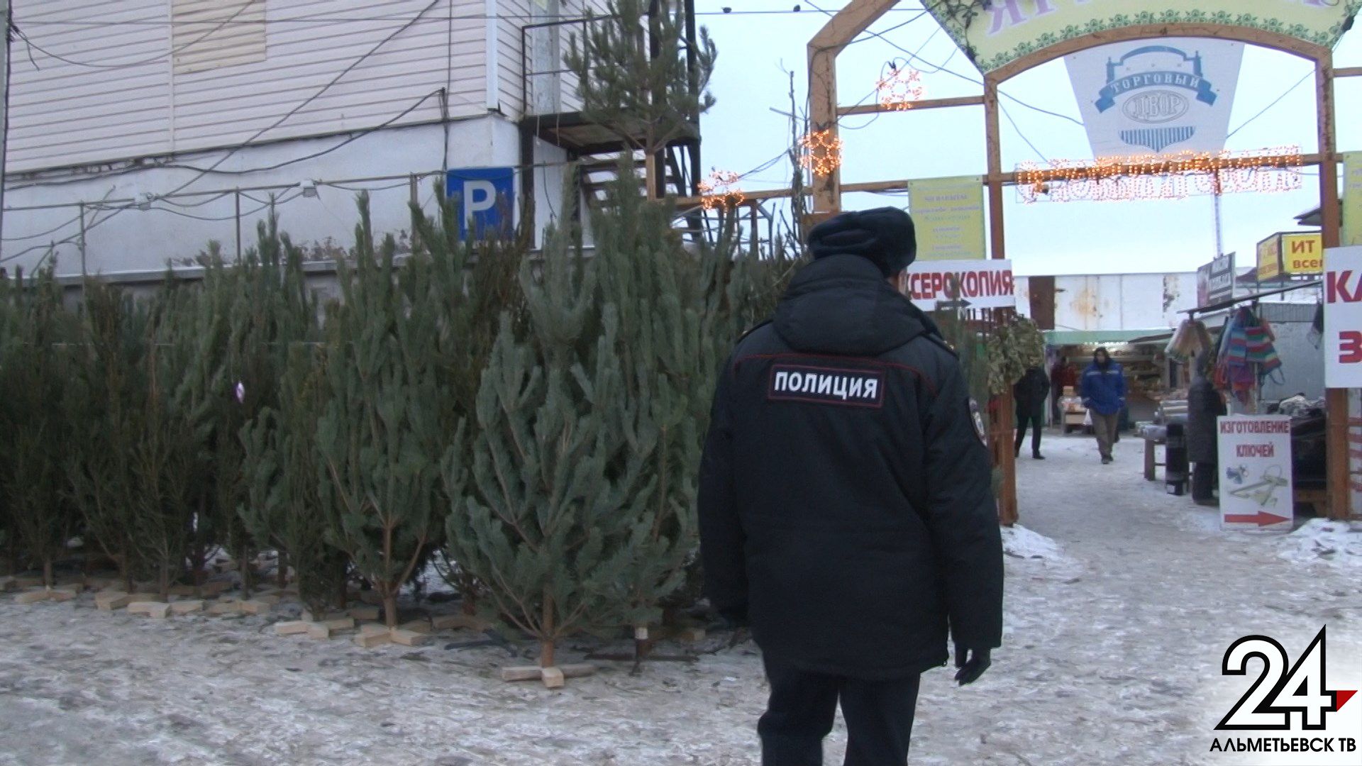 Операция «Ель»: нелегальные точки по продаже елок выявляют в Альметьевске