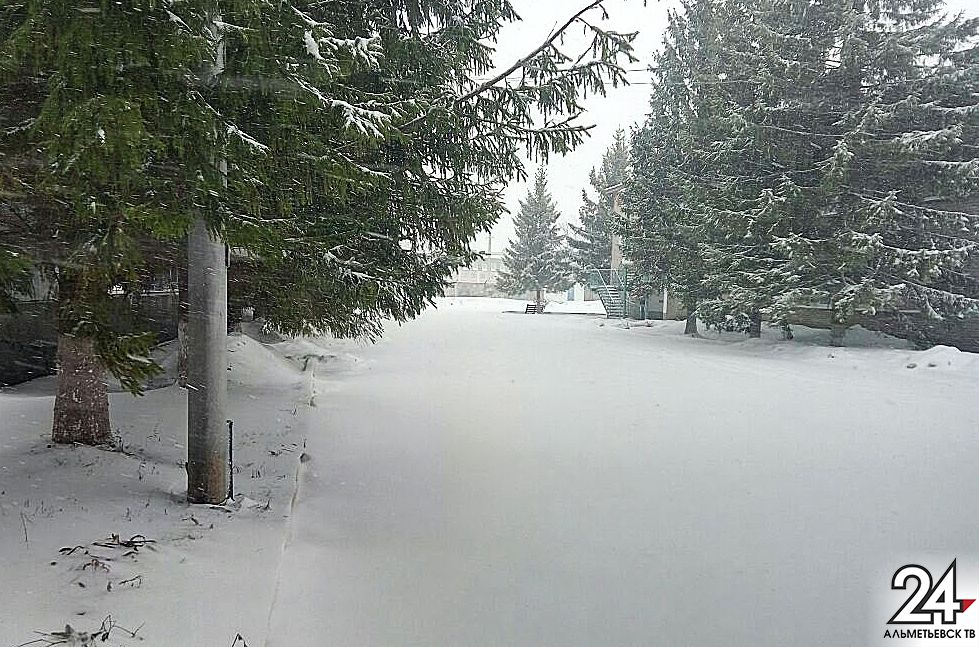 В Татарстане прогнозируются осадки в виде мокрого снега