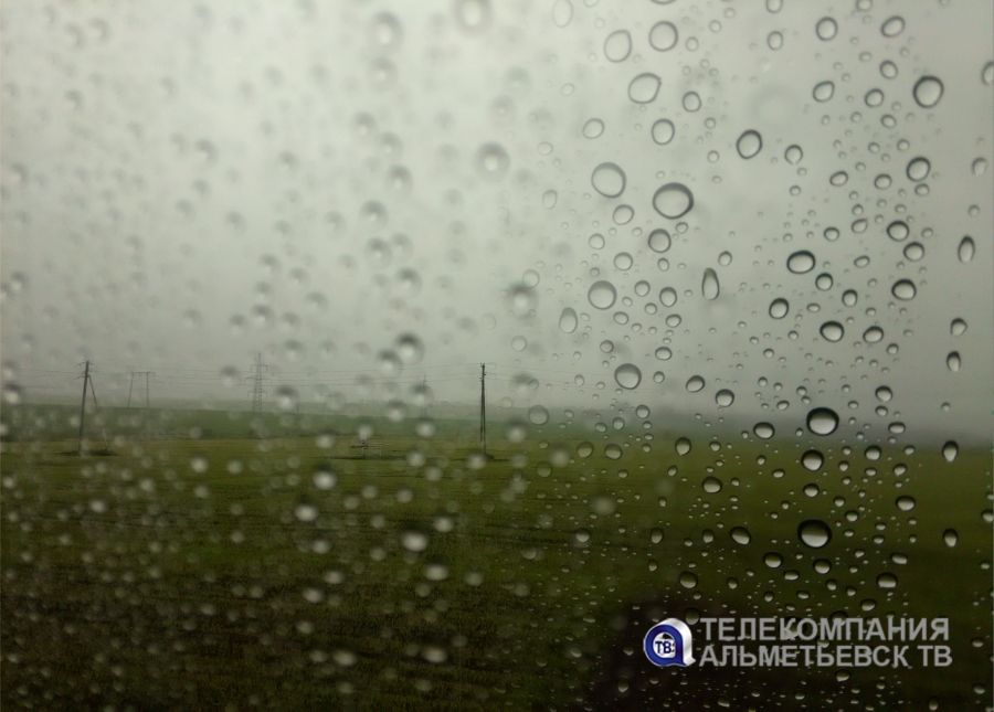 На юго-востоке Татарстана будет дождливо