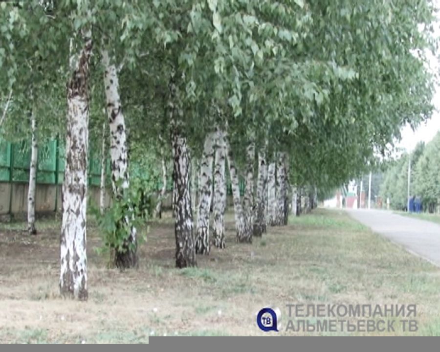В Татарстане ожидаются грозы, град и усиление ветра