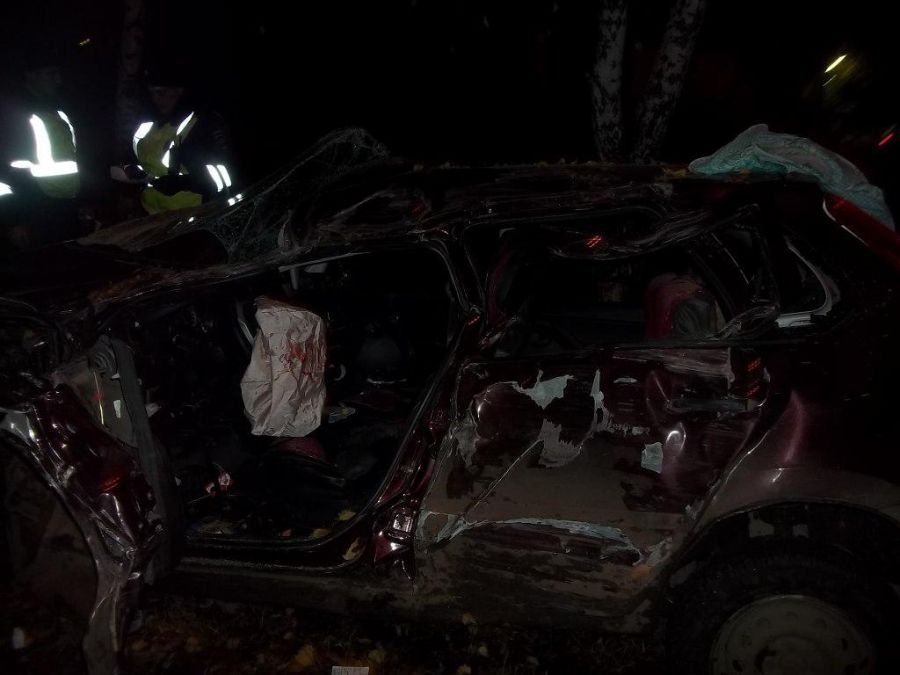  В Татарстане погиб водитель легковушки, которая влетела в дерево