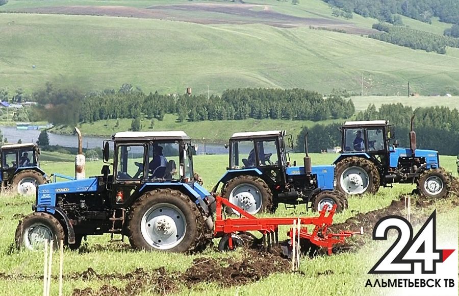 В Татарстане ожидают плодотворный урожай в 2017 году