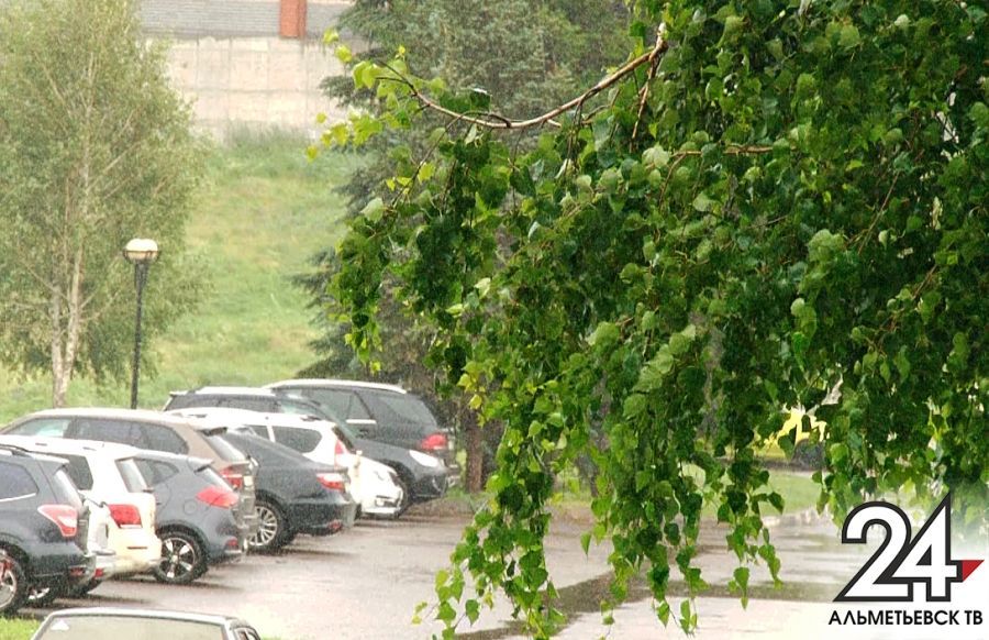 Синоптики Татарстана предупреждают о сильных дождях и грозах