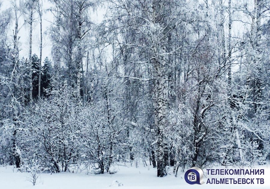 Погода в Татарстане: идет потепление, ожидается мокрый снег