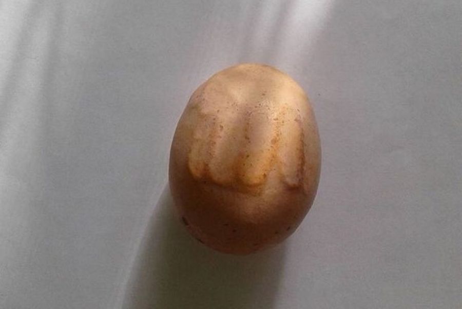 В Татарстане нашли куриное яйцо с надписью на арабском