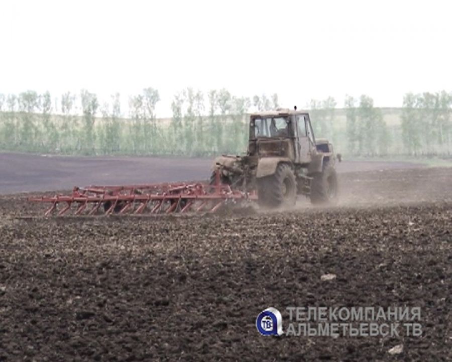 В Альметьевском районе засеют более четырехсот гектаров кукурузы
