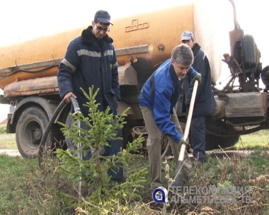 150 саженцев деревьев высадила компания «СМП-Нефтегаз» в Альметьевске