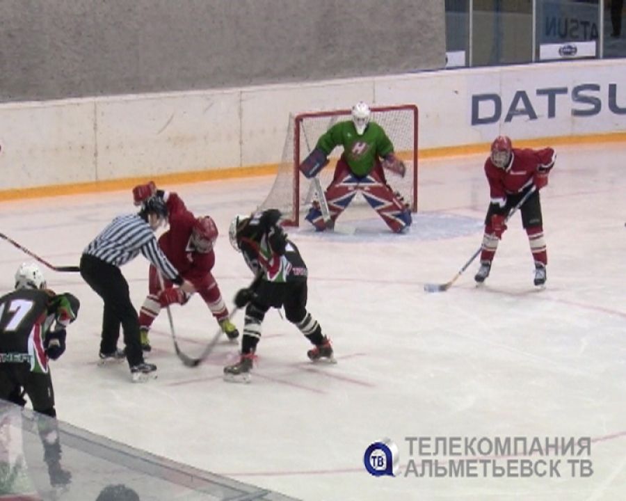 Сельские хоккеисты Альметьевского района разыграли кубок ХК «Нефтяник»
