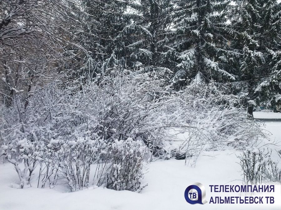 В Татарстане прогнозируется снежная погода