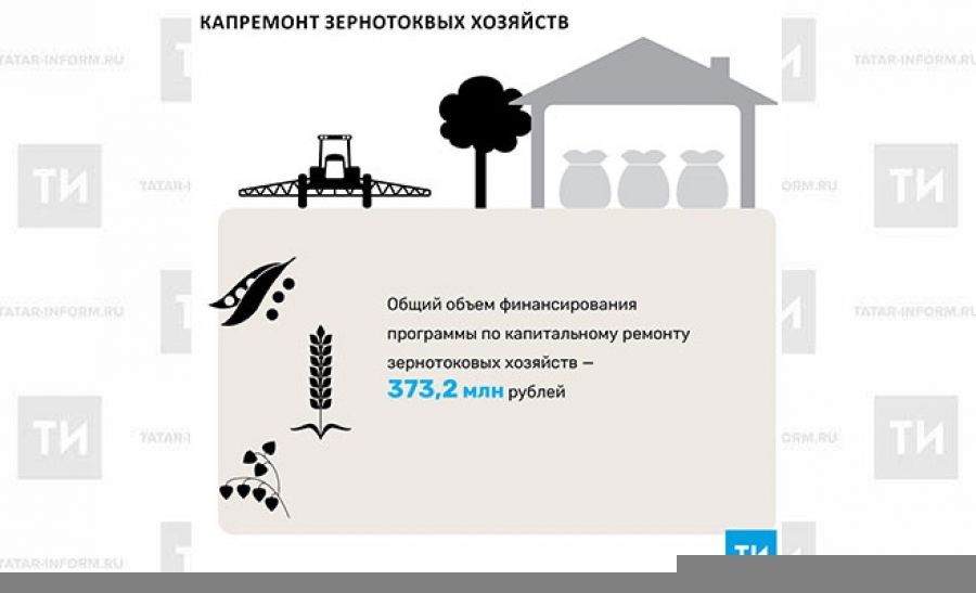 С 2018 года Татарстан начнет программу капитального ремонта зернотоковых хозяйств
