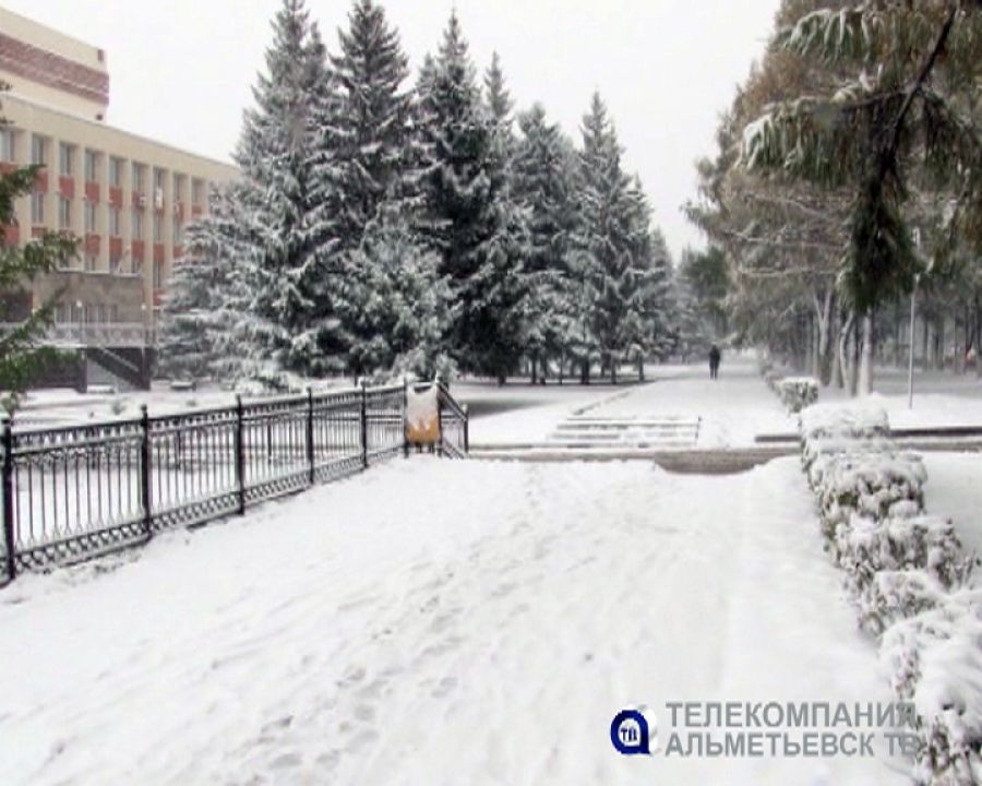 В Альметьевске 13 ноября будет идти снег