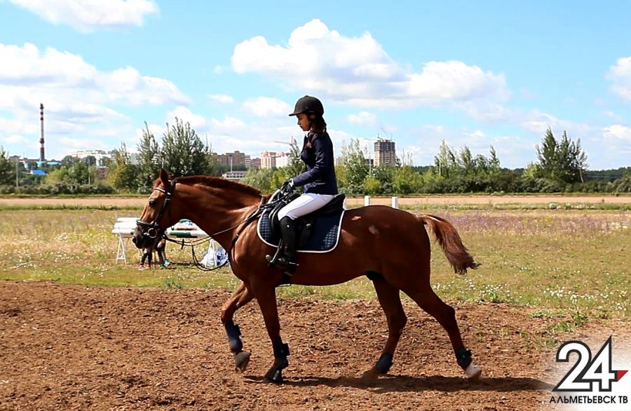 Всегда на коне: альметьевские поклонники конкура признались, где получают настоящий адреналин