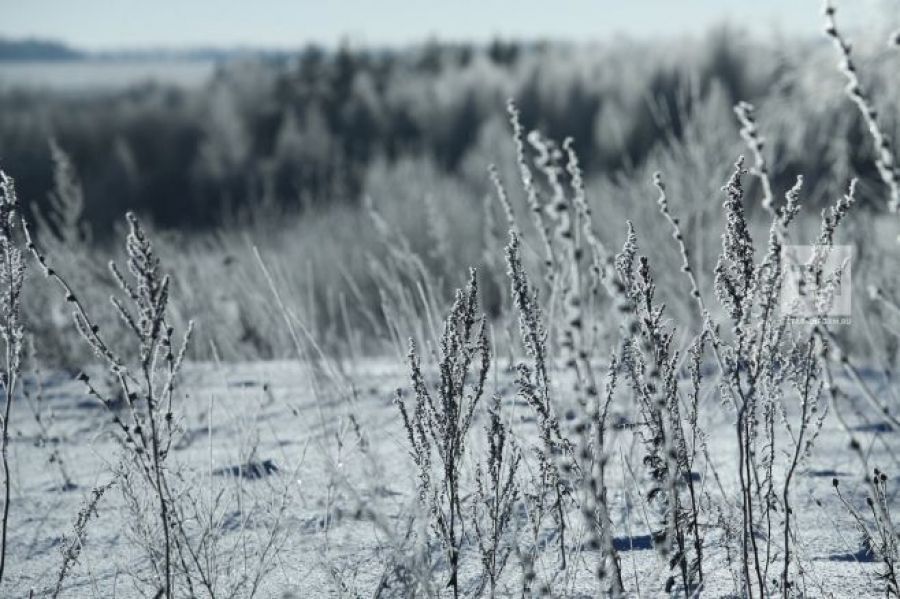 Морозы задержатся в Татарстане почти на неделю