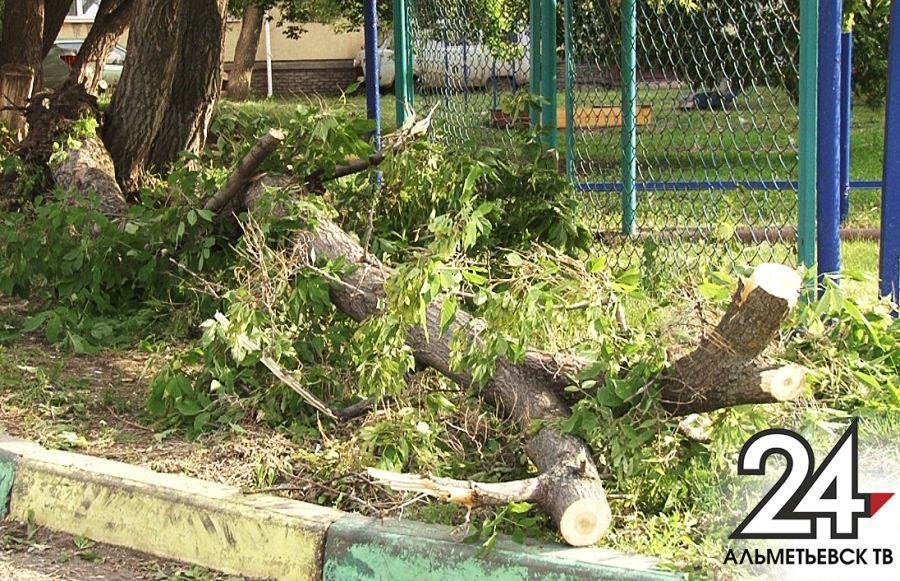 Сильный ветер в одном из дворов Альметьевска повалил сразу два дерева