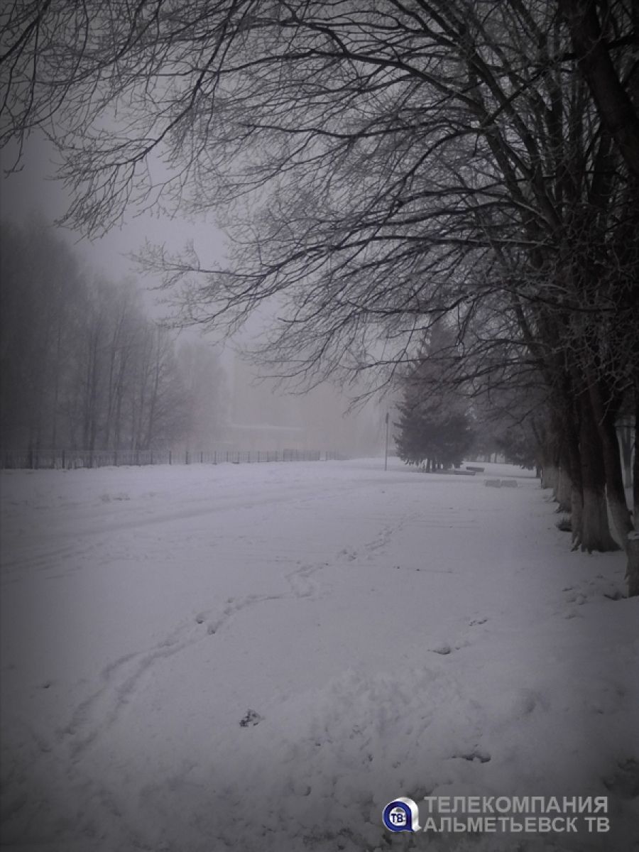 В Татарстане ожидаются туман, метель и снег