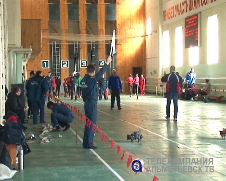 В Альметьевске прошли соревнования по пожарно-прикладным видам спорта