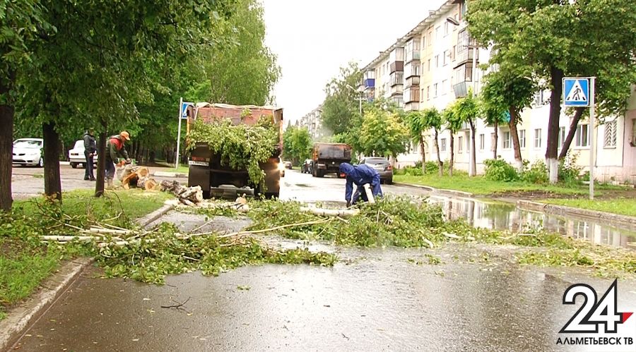 На одной из улиц Альметьевска ветром повалило дерево