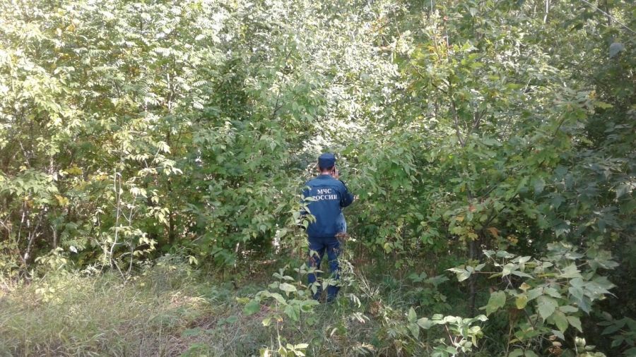 В Татарстане найдена женщина, пропавшая два дня назад при сборе грибов 