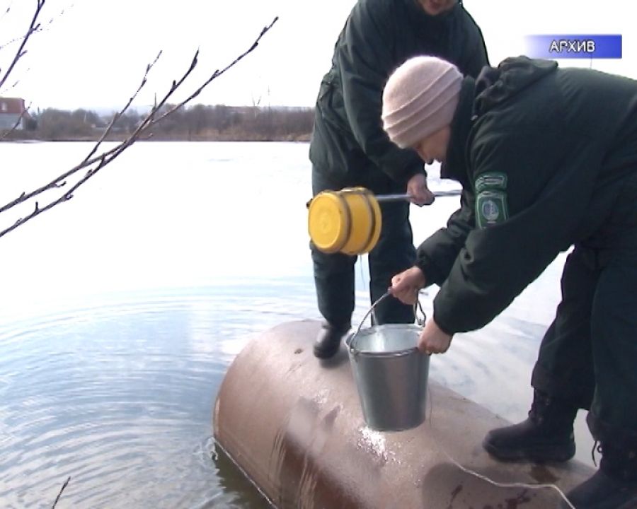 Экологи: вода в городском озере Альметьевска соответствует нормам