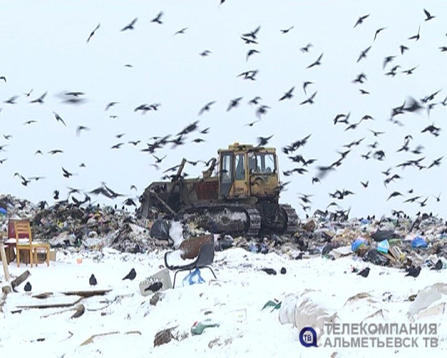 В Альметьевске внедряется селективный сбор мусора