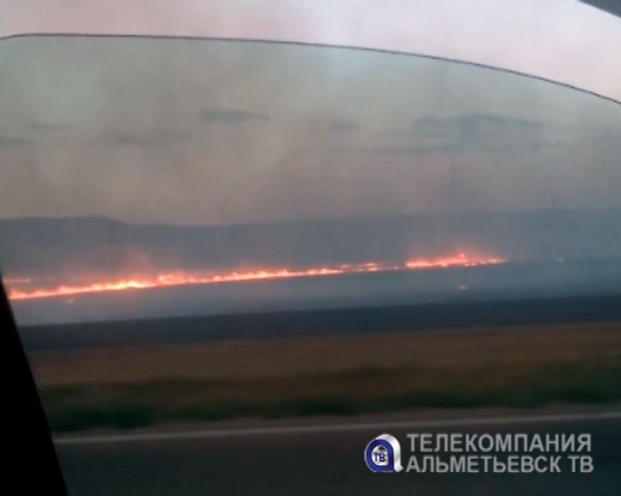 В Альметьевском районе выгорело почти 30 гектаров поля