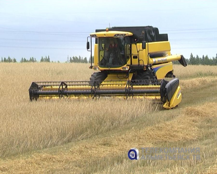 В Татарстане обмолочено 20 процентов площади зерновых и зернобобовых культур