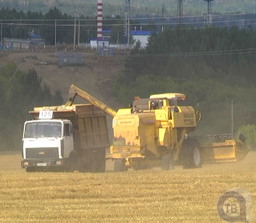 Гектар за гектаром: в Альметьевском районе идет уборка урожая