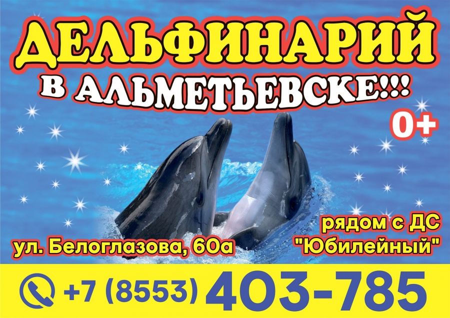 В Альметьевск приехал дельфинарий