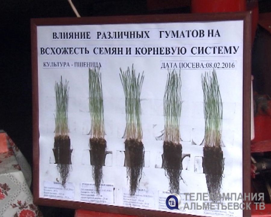 Хозяйства Альметьевского района активно готовятся к весенним полевым работам
