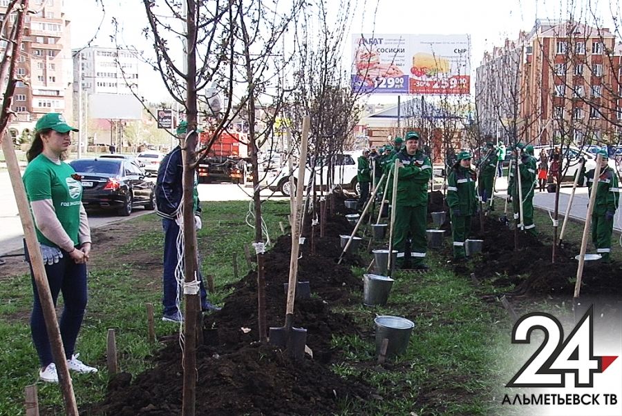 Сотню яблоневых деревьев высадили на главной улице Альметьевска