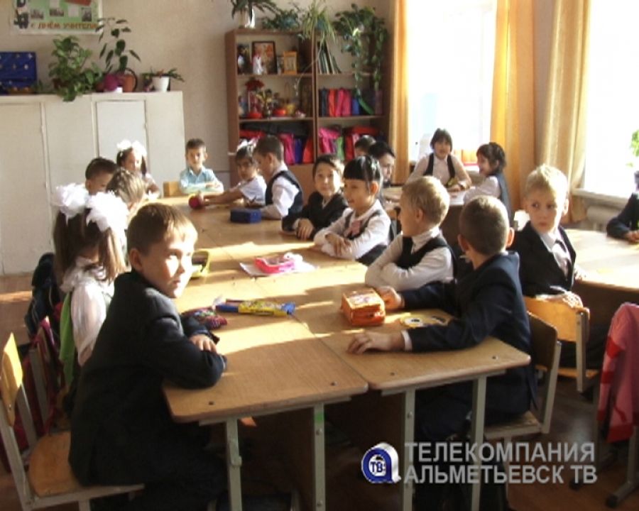 Экологические уроки пройдут во всех школах Татарстана