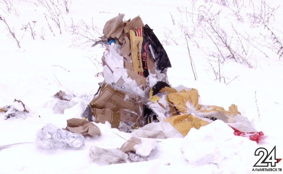 В Альметьевском районе ликвидирована свалка опасных отходов