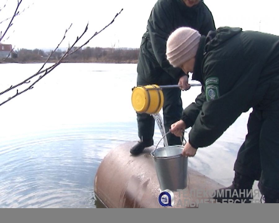 Экологи продолжают выявлять источники загрязнения городского озера в Альметьевске