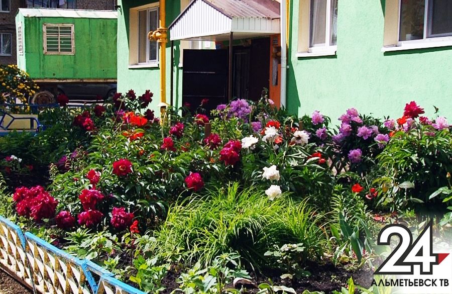 Лучший двор, подъезд, балкон и дворник – в Альметьевске проходит конкурс коммунальной красоты