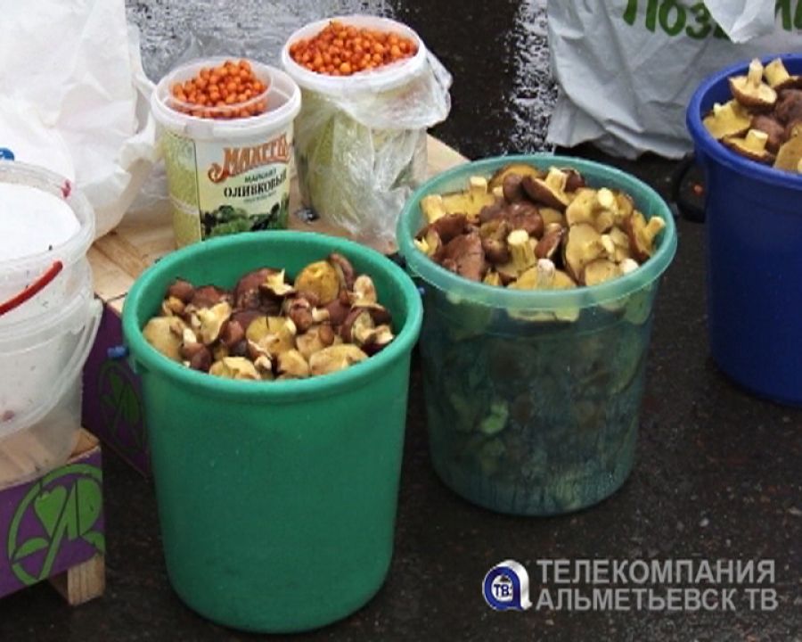 Свежие овощи и живые раки – в Альметьевске прошла очередная сельхозярмарка