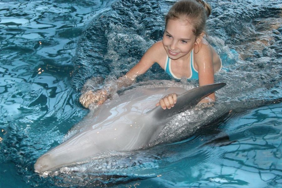 Набережночелнинский дельфинарий приглашает на световое шоу в честь 8 Марта
