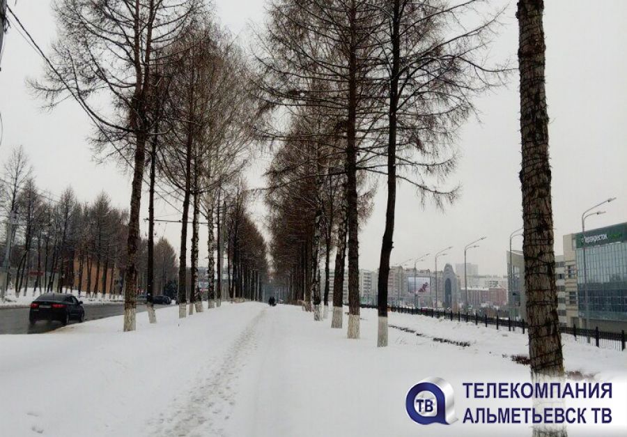 В Татарстане прогнозируется ветер порывами до 16 метров в секунду