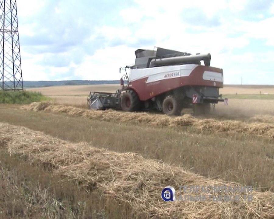 В хозяйствах Альметьевского района началась уборка урожая