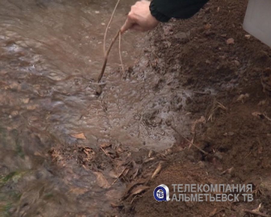 На городском озере в Альметьевске выявлен факт загрязнения почвы и воды нефтепродуктами