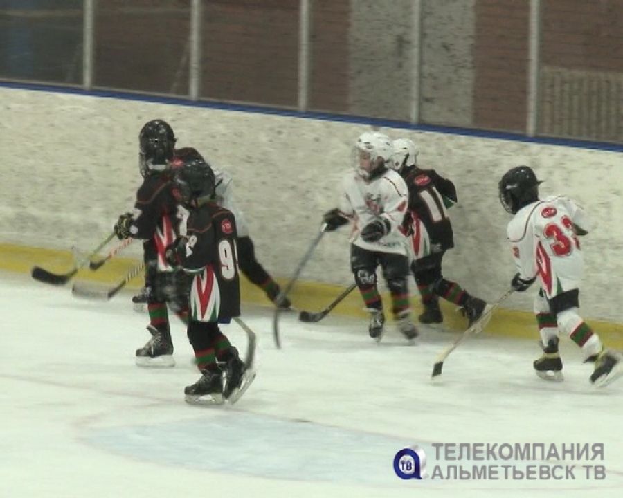 В Альметьевске проходит хоккейный турнир среди любительских команд