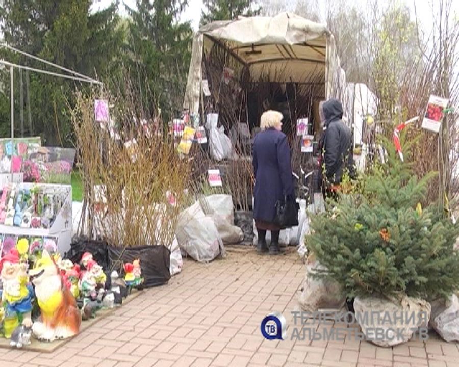 В Альметьевске началась всероссийская ярмарка «Дом-Сад-Интерьер»
