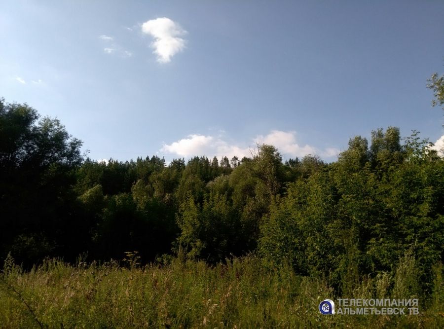 На территории Татарстана сохраняется чрезвычайная пожарная опасность лесов